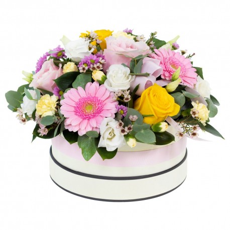 Dream Land - Hat Box Arrangement