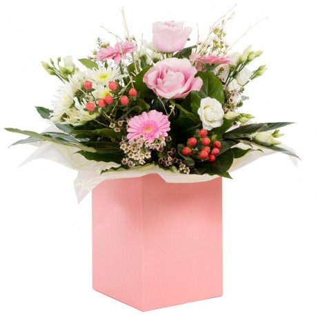 Scent of Heaven - Hand Tied Aqua Pack