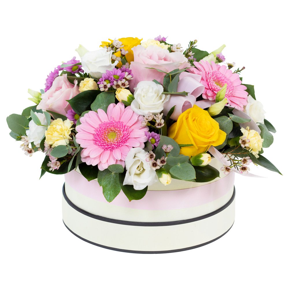 Dream Land - Hat Box Arrangement